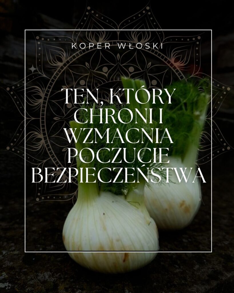 Koper włoski, ten który chroni i wzmacnia poczucie bezpieczeństwa