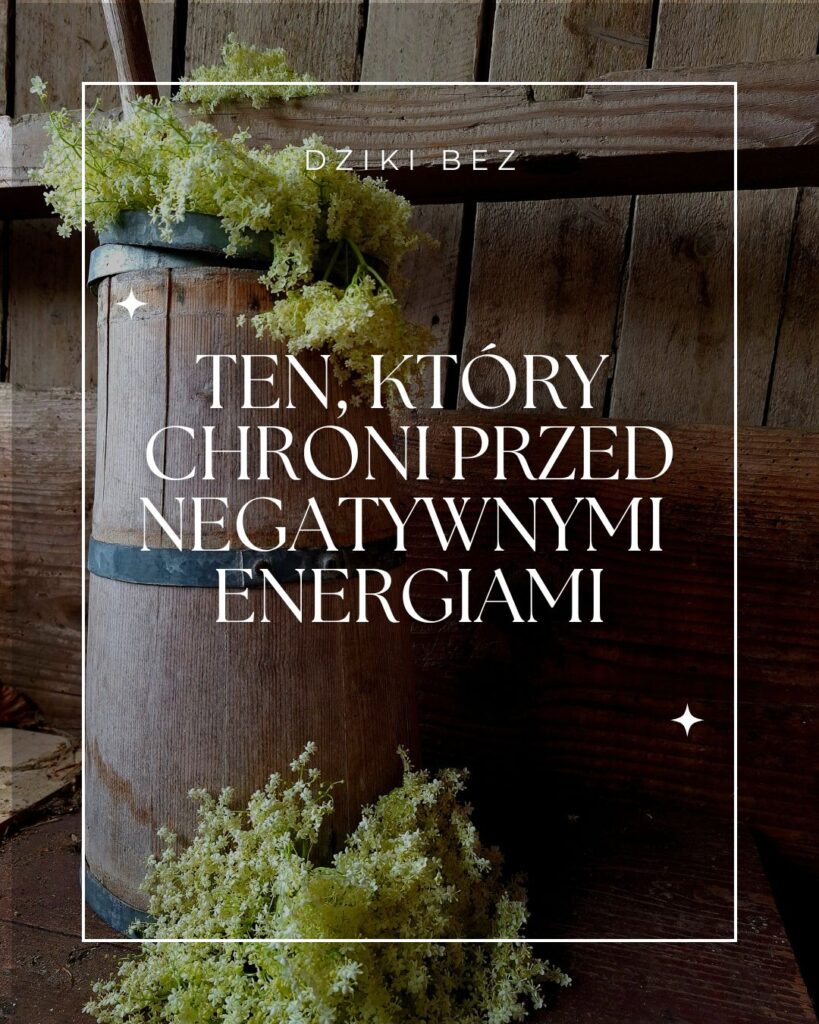 Bez, ten który chroni przed negatywnymi energiami
