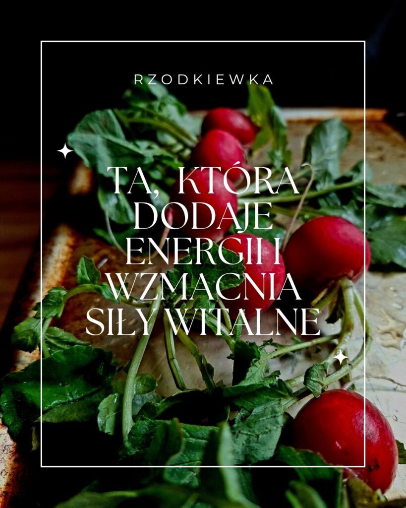 Rzodkiewka, ta która dodaje energii i wzmacnia siły witalne