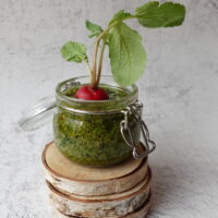 Pesto z liści rzodkiewki